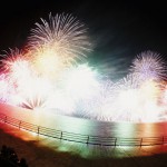 No.17：ミナモノオハナミ