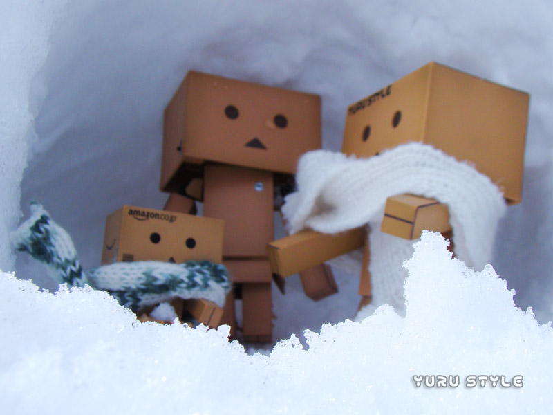 ピントが雪だゾ