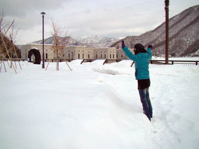 ヽ(*゜∀゜)ノウヒャヒャヒャ