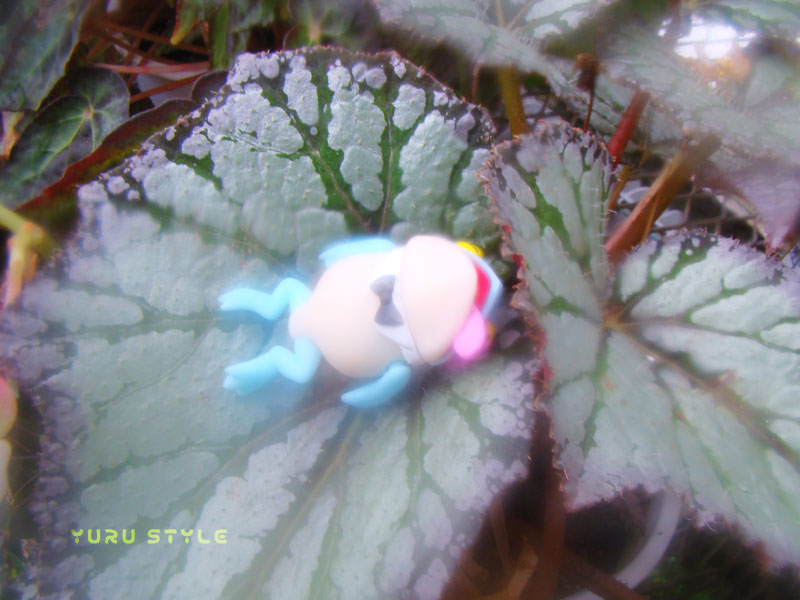 け、ケロケロ・・・・