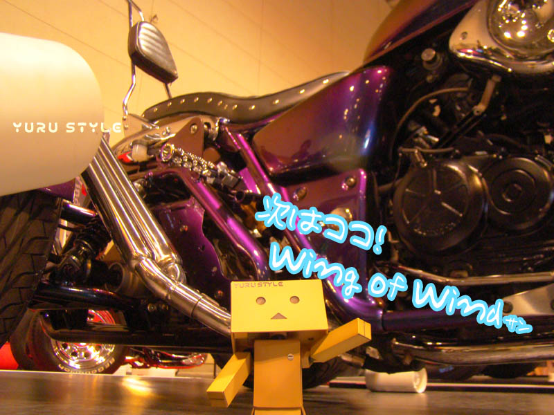 【豆の木】です☆