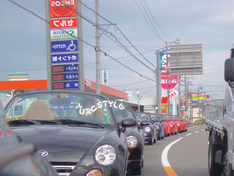 これが<カルガモ>なのです♪