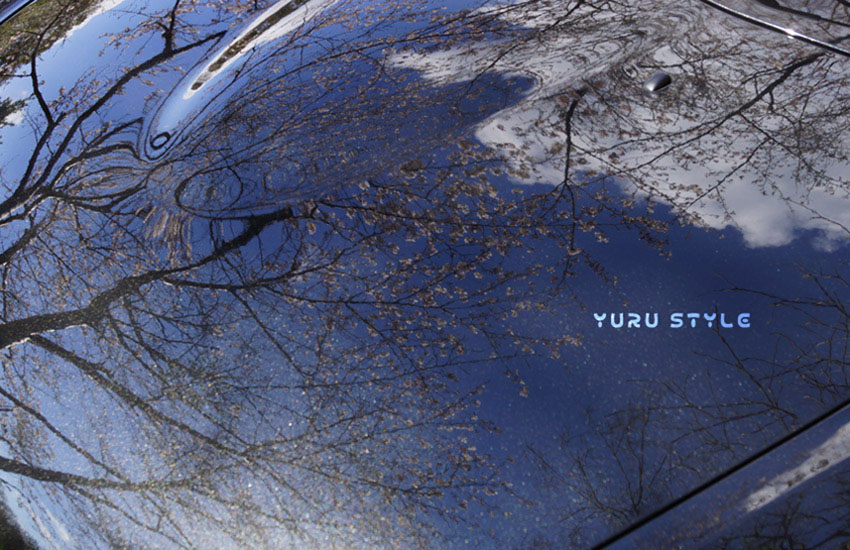 ブラックコペン★桜柄仕様♪