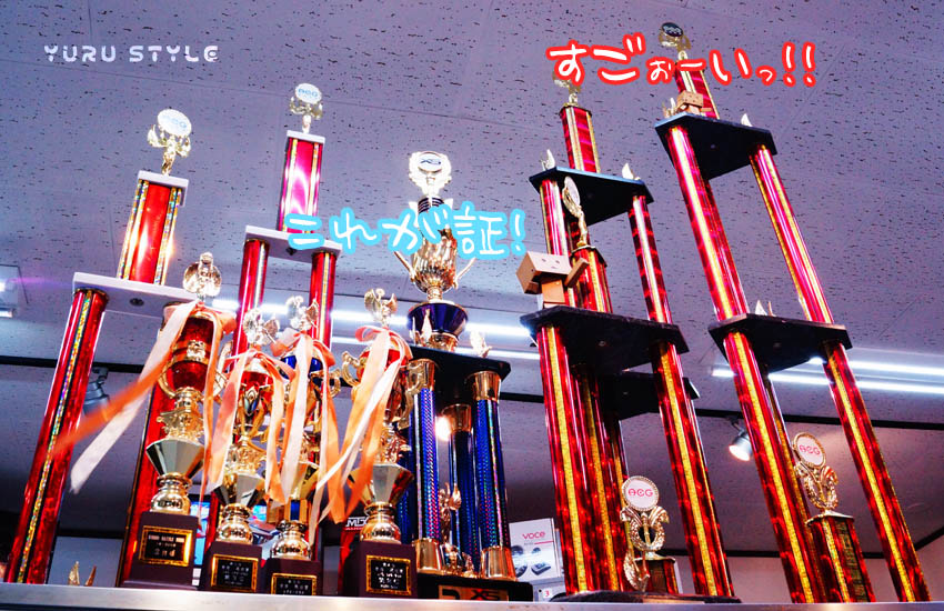 実績の一部(*゜∀゜)=3 デカいっすよ!