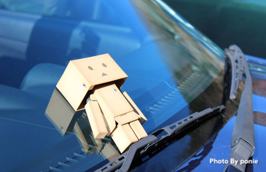 青を背に青を臨む