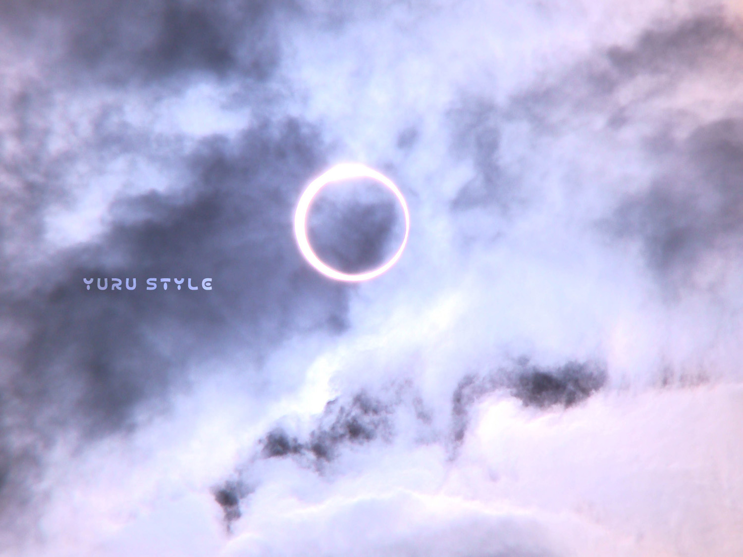 念願叶いました(人´∀`*)