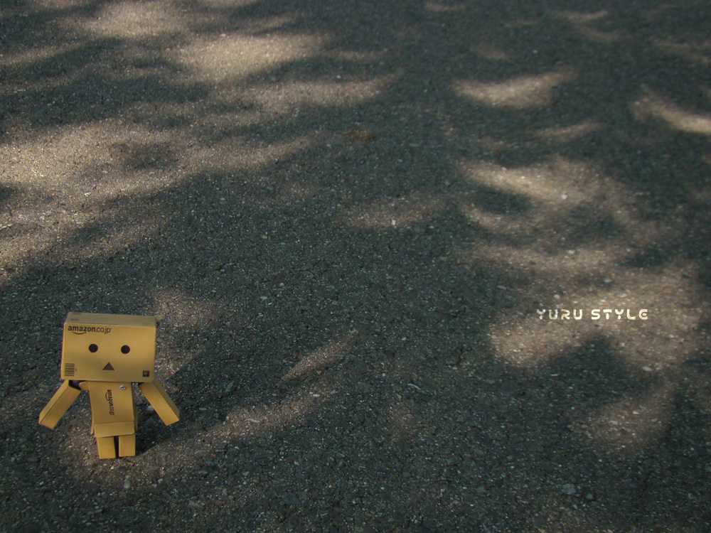 いつもとちがう木陰