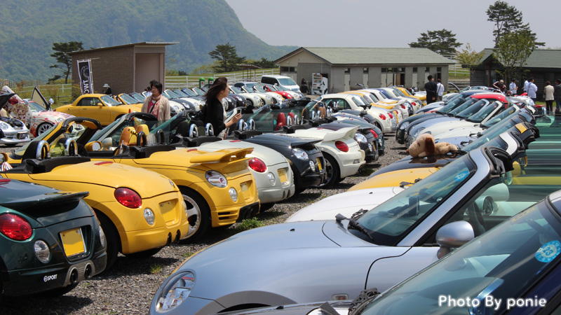 こんな写真、めったに撮れませんよぉ!