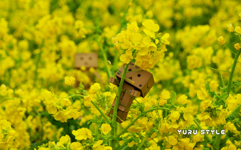 わわわ!揺れるぅぅぅ