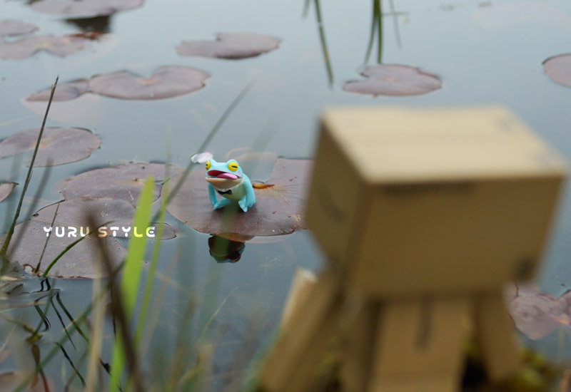 自分で理解するしかないんだよぉ