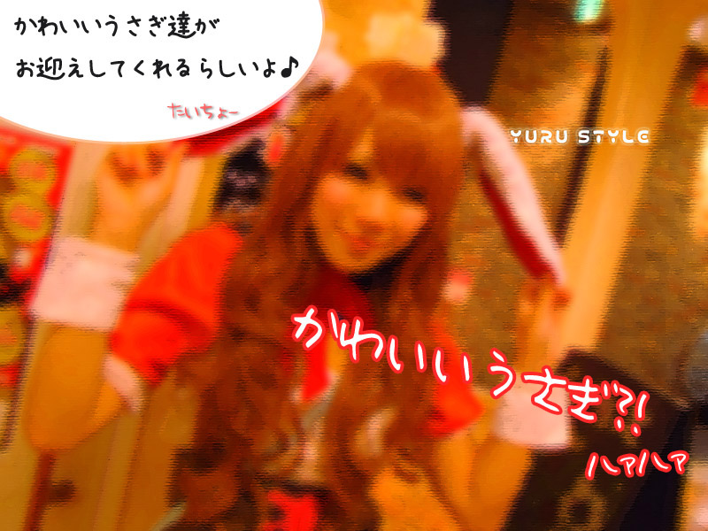 うさぎちゃんに会える?!