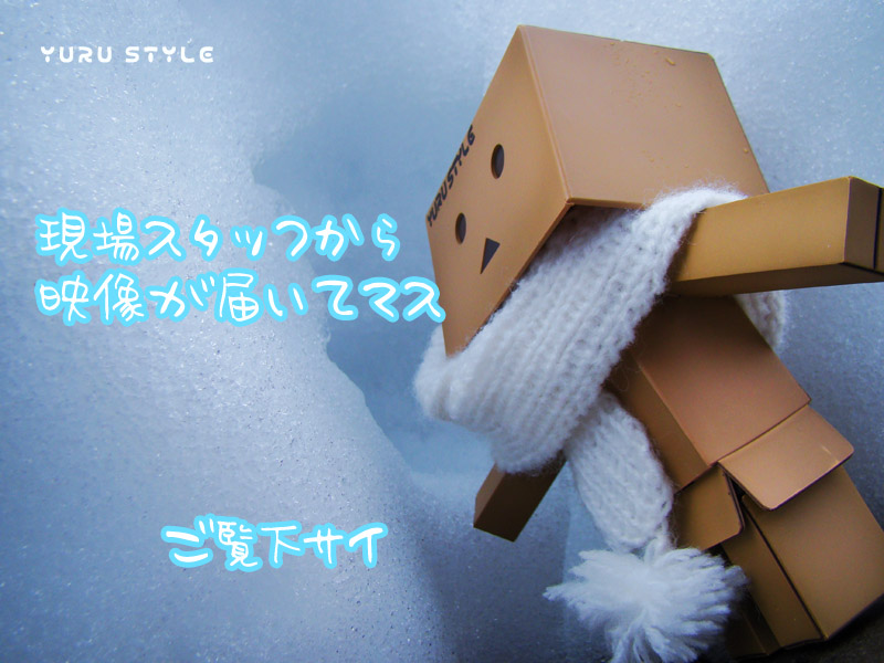 現場スタッフからの映像デス