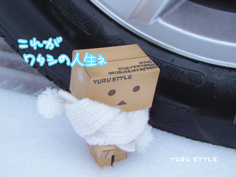 全身で頑張る豆の木に拍手を!