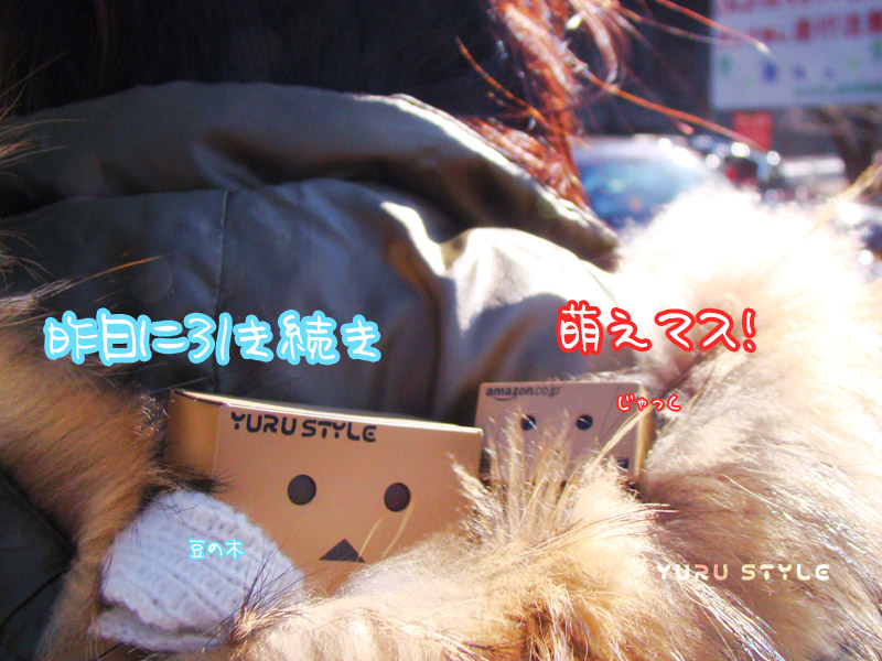 ふわふわ ぬくぬく